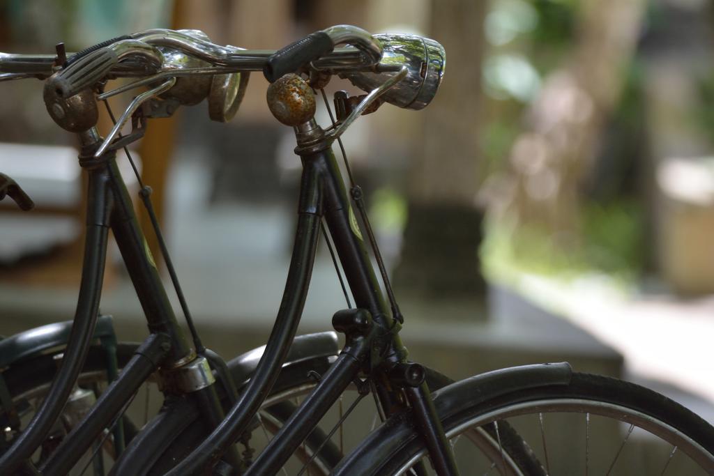 Griya Sriwedari Otel Ubud Dış mekan fotoğraf
