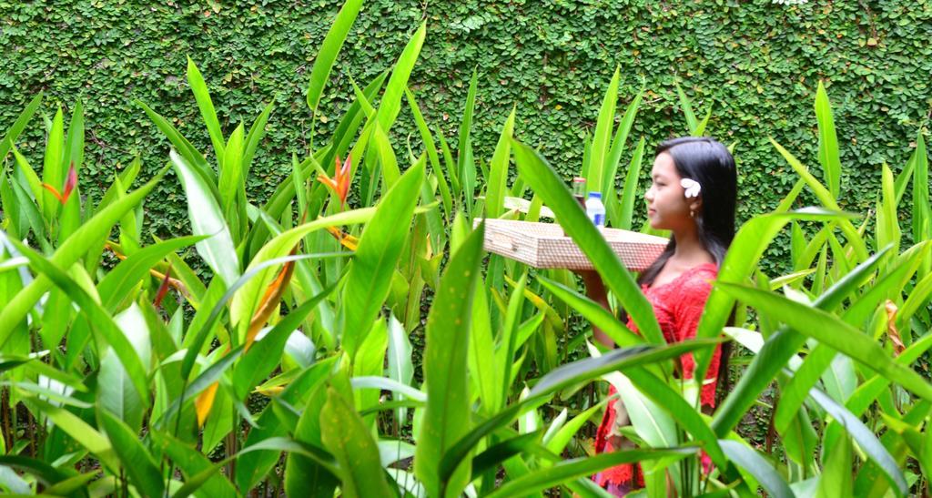 Griya Sriwedari Otel Ubud Dış mekan fotoğraf