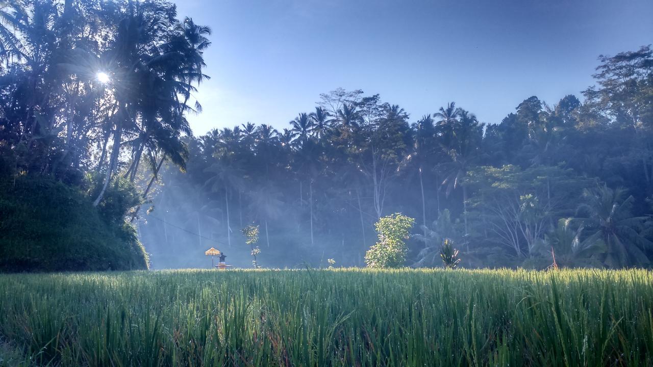 Griya Sriwedari Otel Ubud Dış mekan fotoğraf